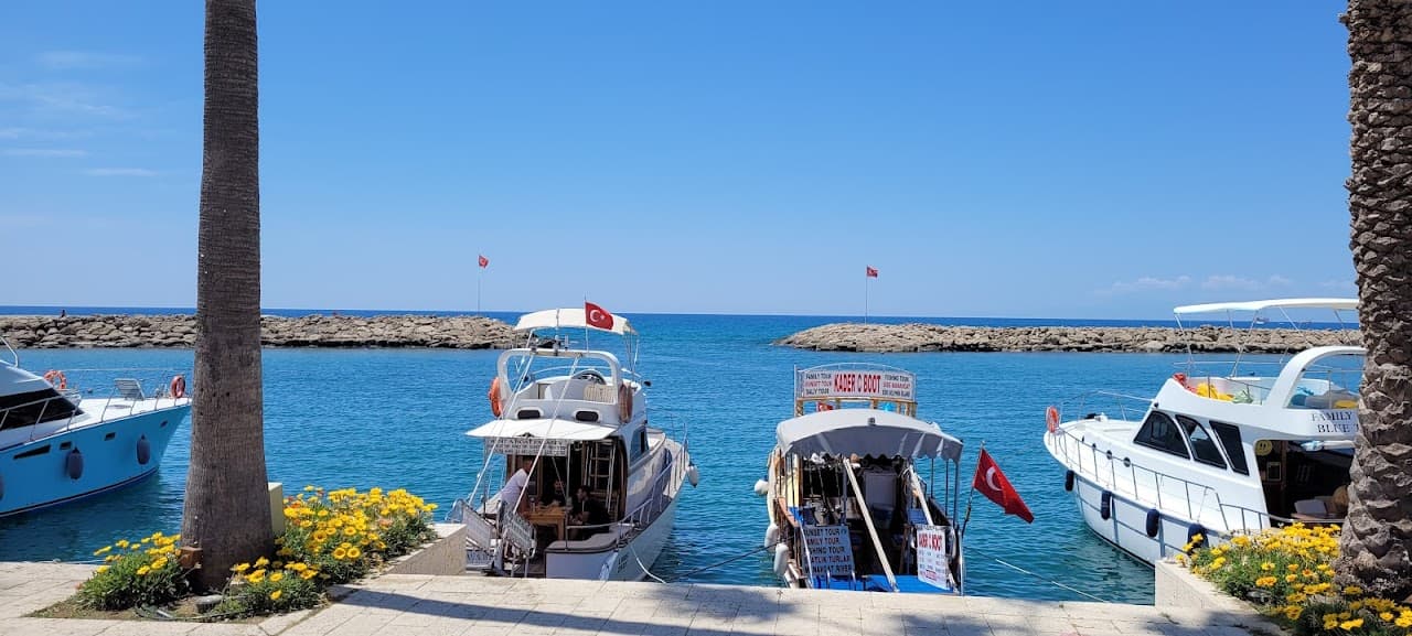 Irmak Halı Saha 5