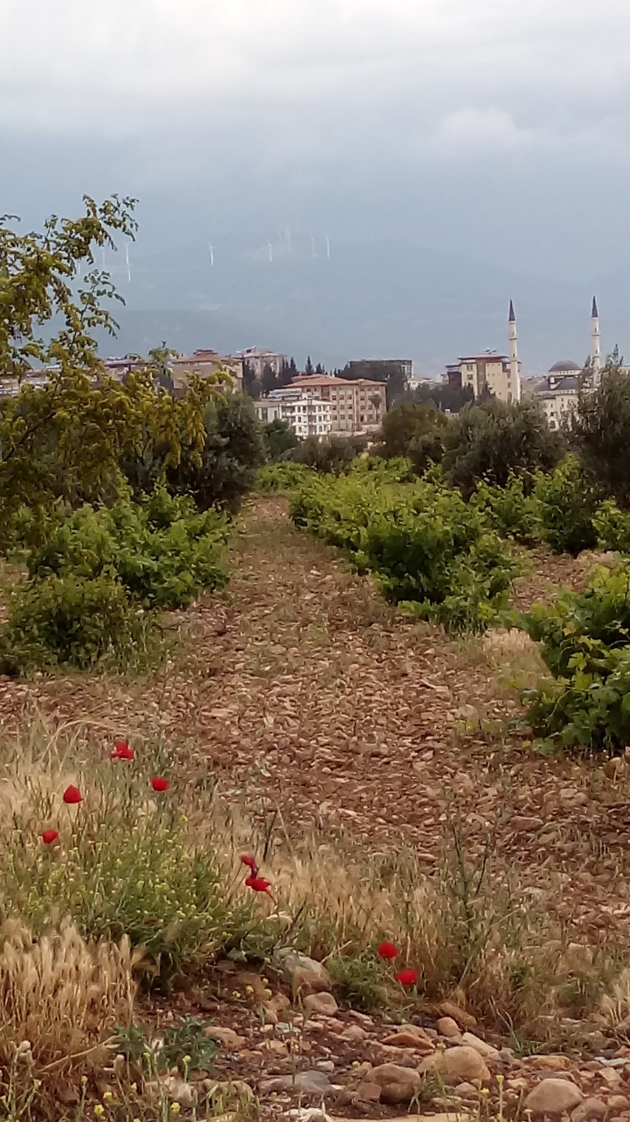 Maraton Halısaha 2
