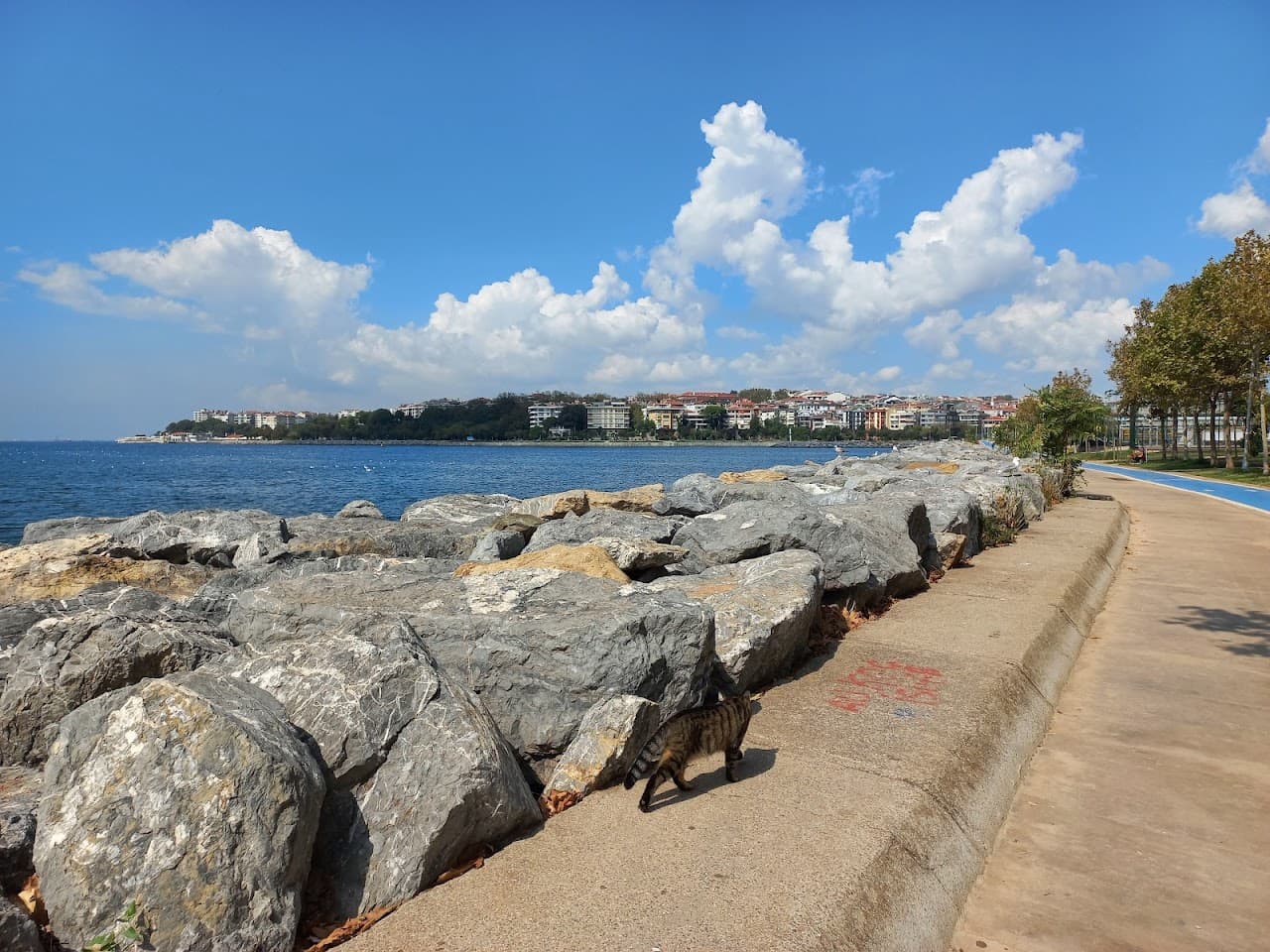 Kalamış Atatürk Parkı 3