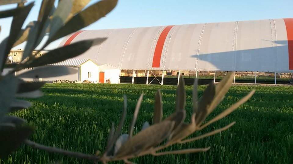 Sporyum Kapalı Halı Saha Tesisleri 5