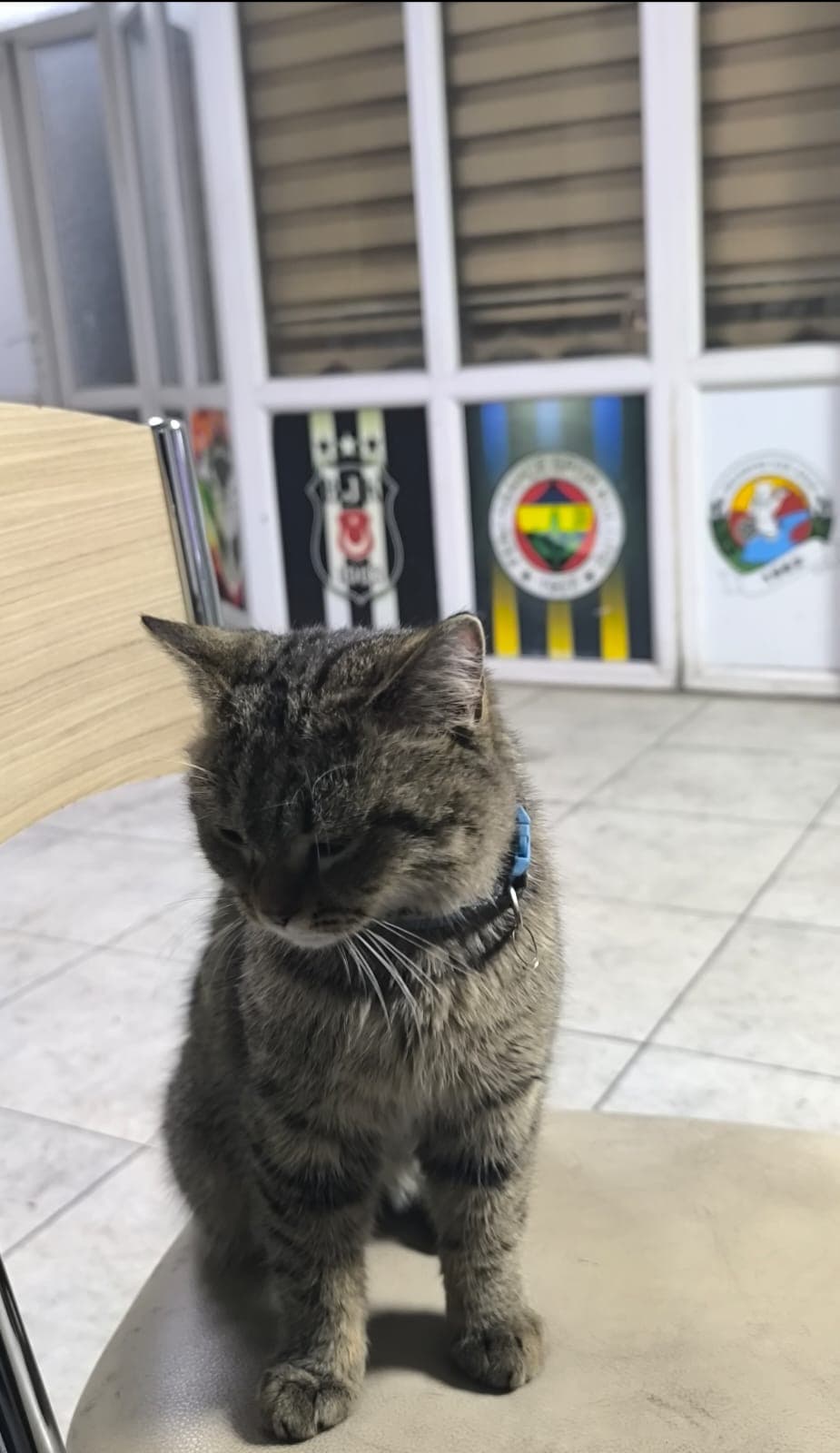 Maçkolik Halı Saha 5