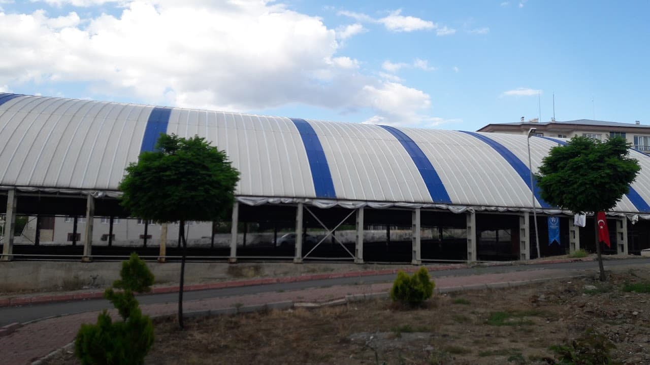 Süzgün Hali Saha 2