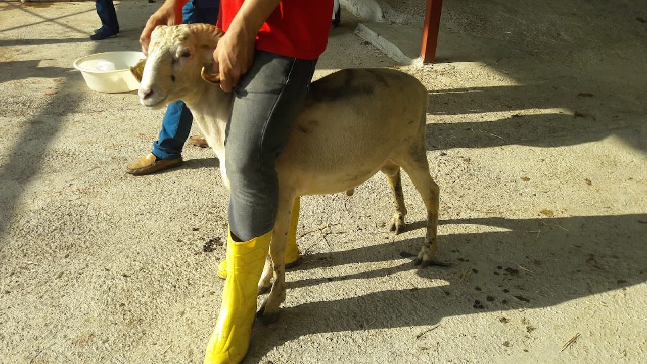 Kemalpaşa Futbol Sahası 3