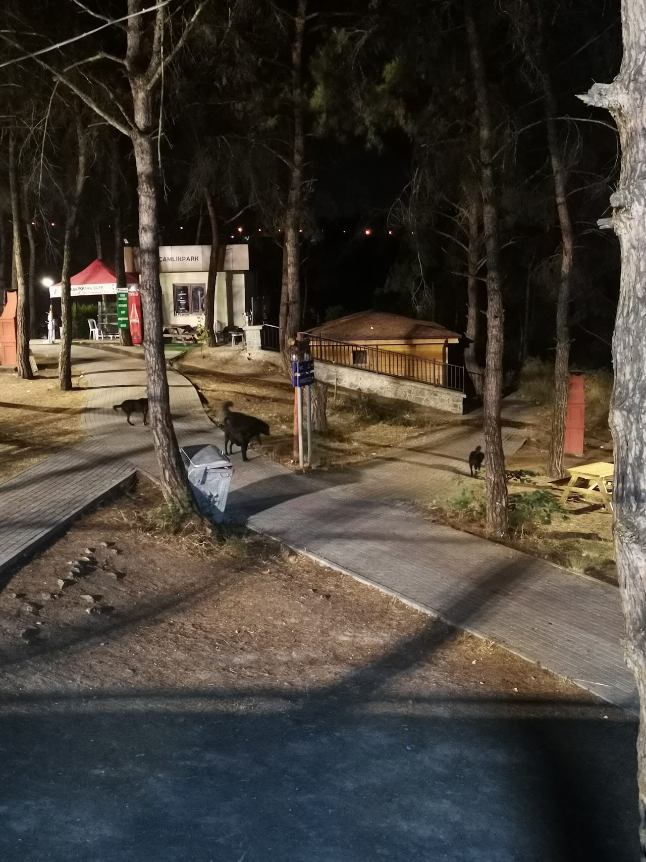 ÇamlıkPark Halısaha Piknik 4