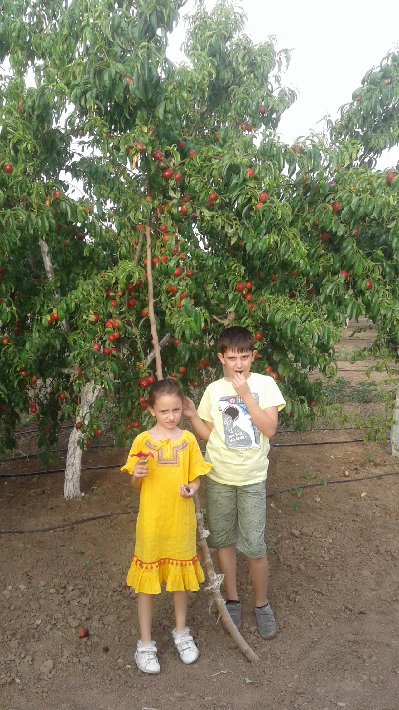 Halı Saha (7) 2
