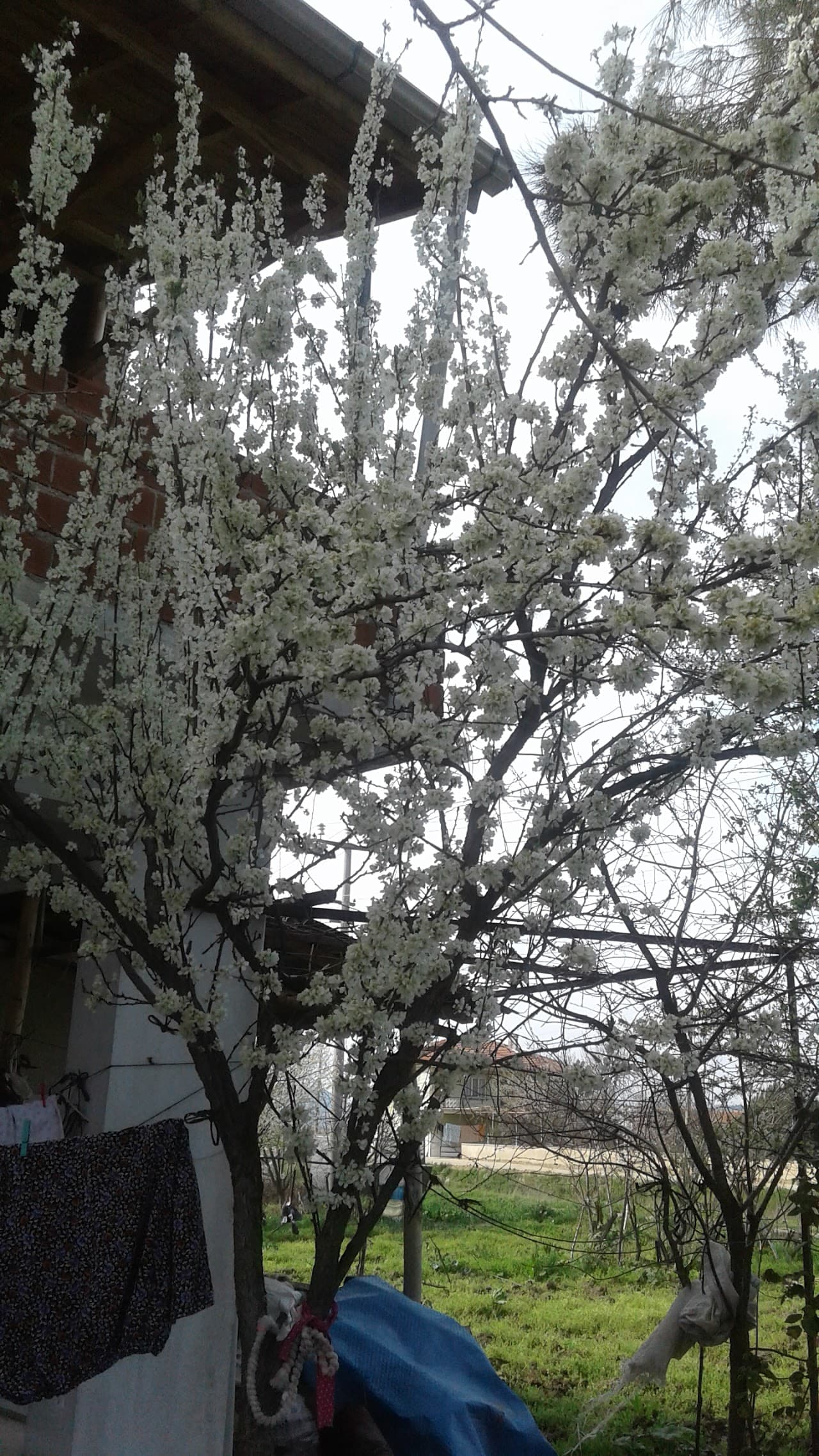 Halı Saha (7) 3