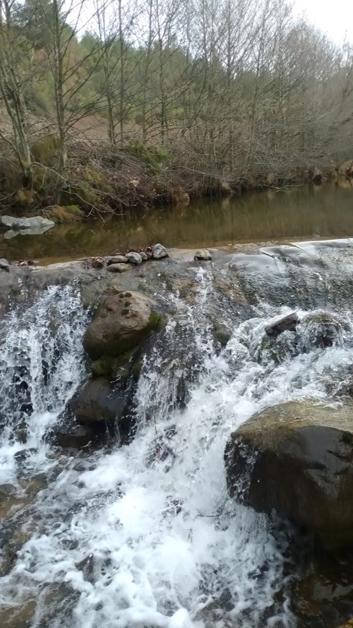Halı Saha (7) 5