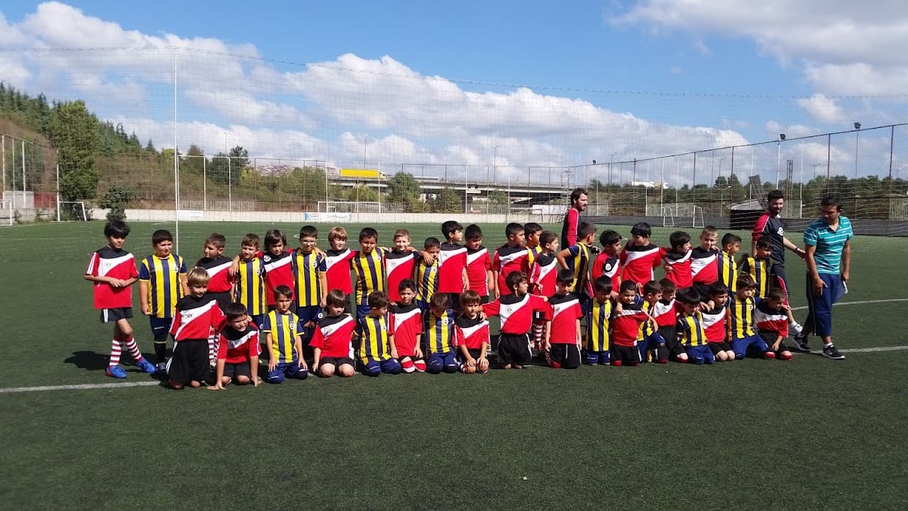 Albayrak Çim Saha 5