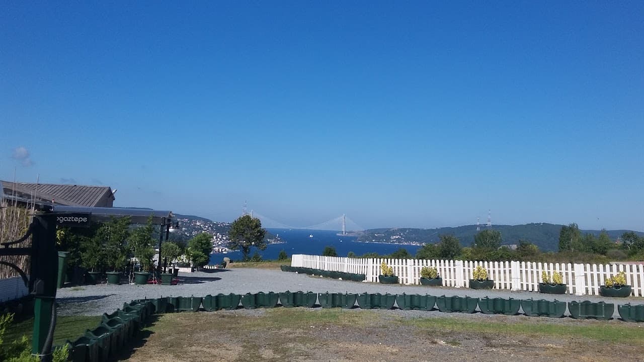 Dallas Halı Saha 5
