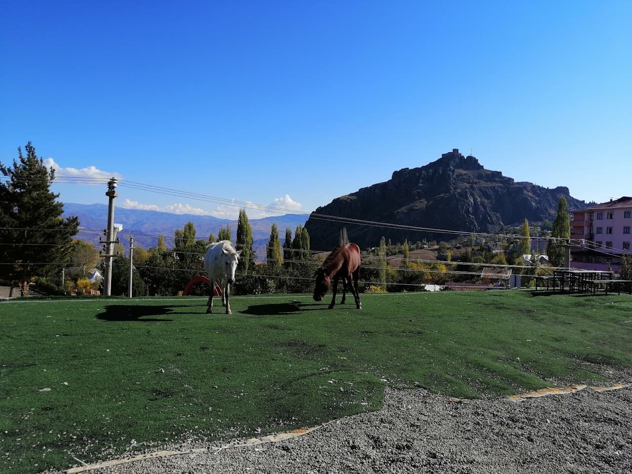 Best Arena Halısaha 5