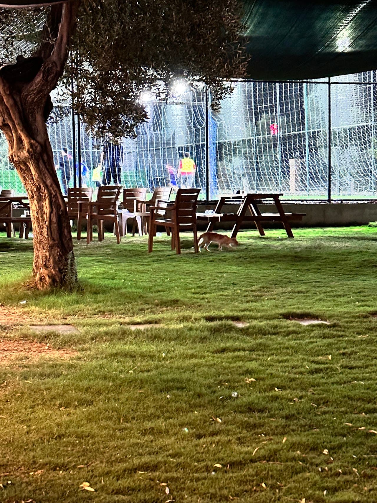Menteş Arena Spor Tesisi 4