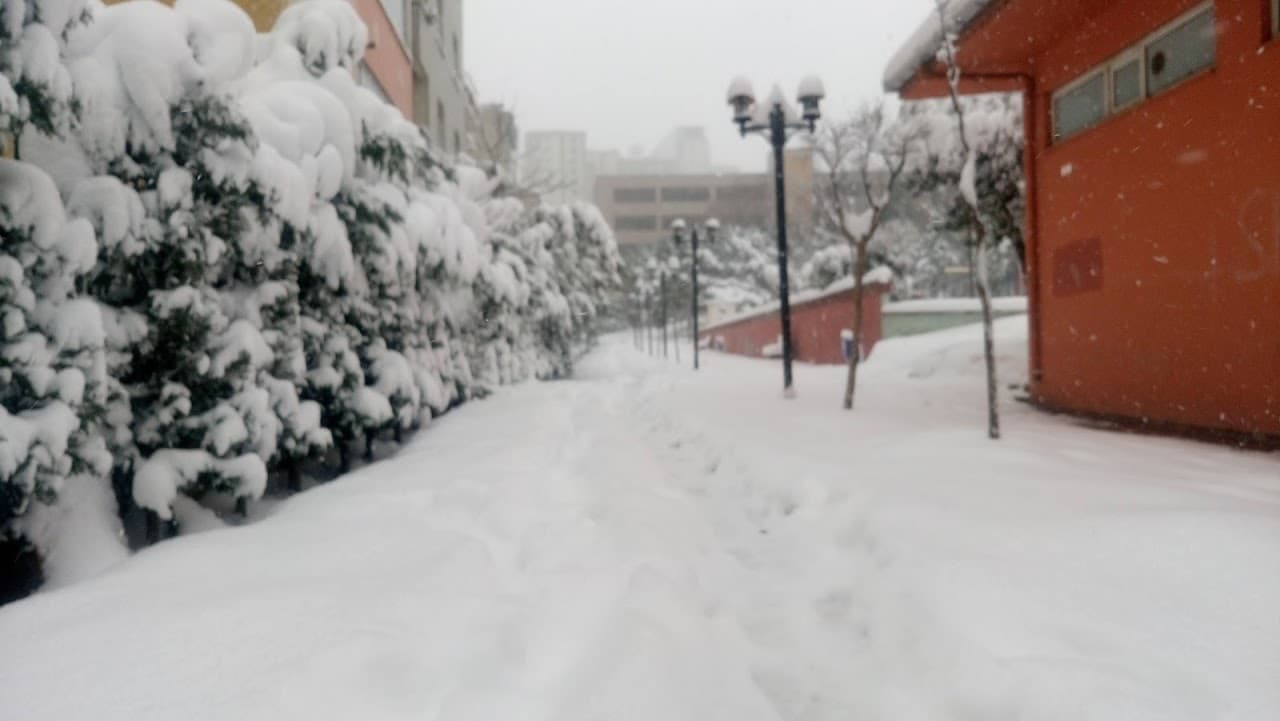 Halı Saha (7) 2