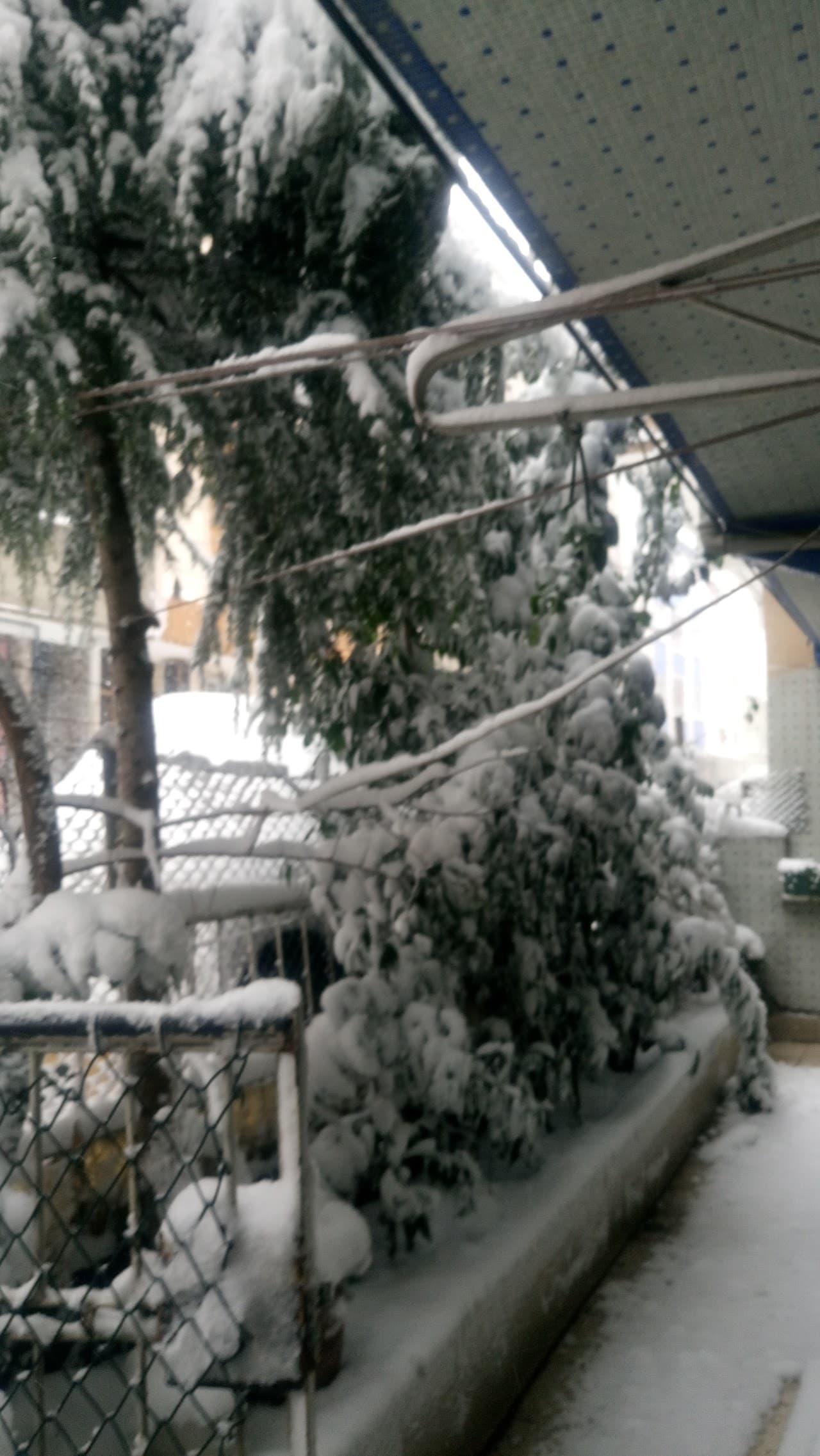 Halı Saha (7) 3