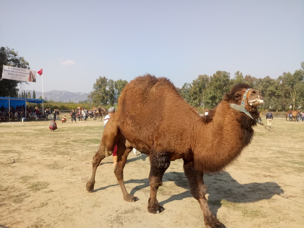 İncirliova Kültür Park Sosyal Tesisleri 3