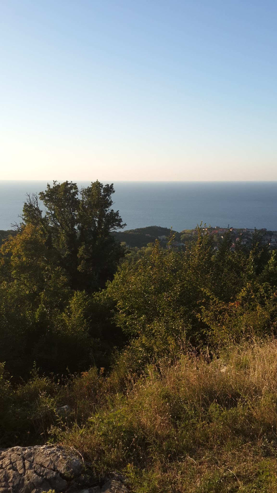 Kurucaşile İlçe Stadyumu 4