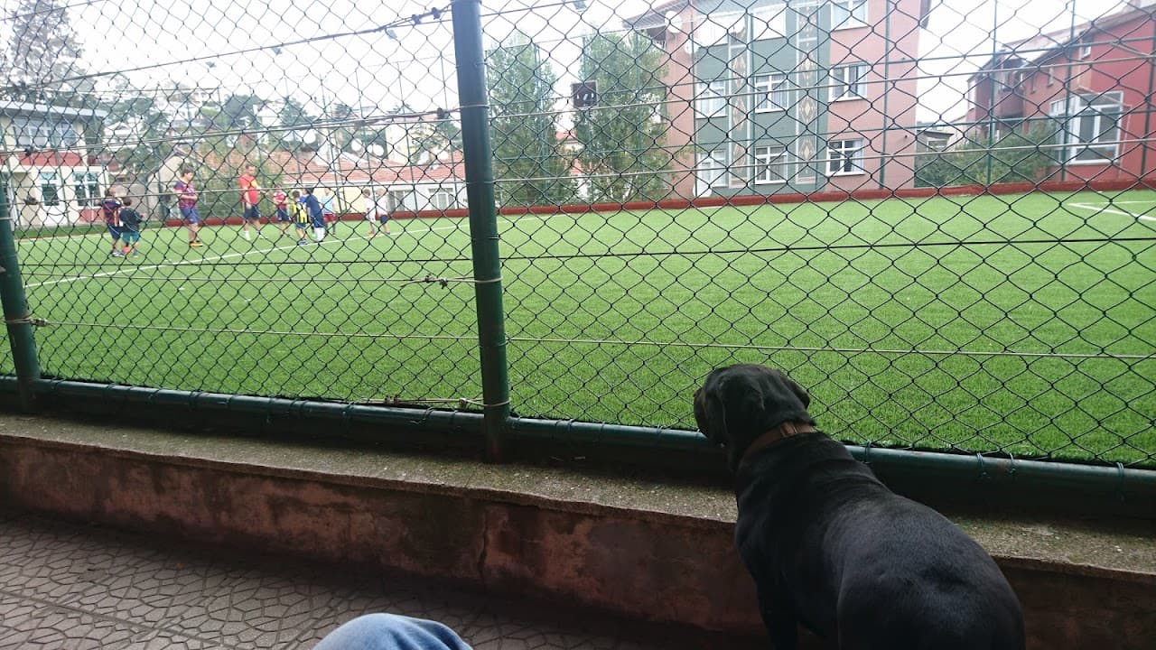 Reşitpaşa Spor Kulübü 3