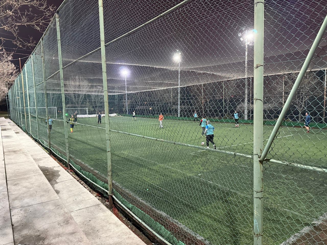 Altınpark Halı Saha 3