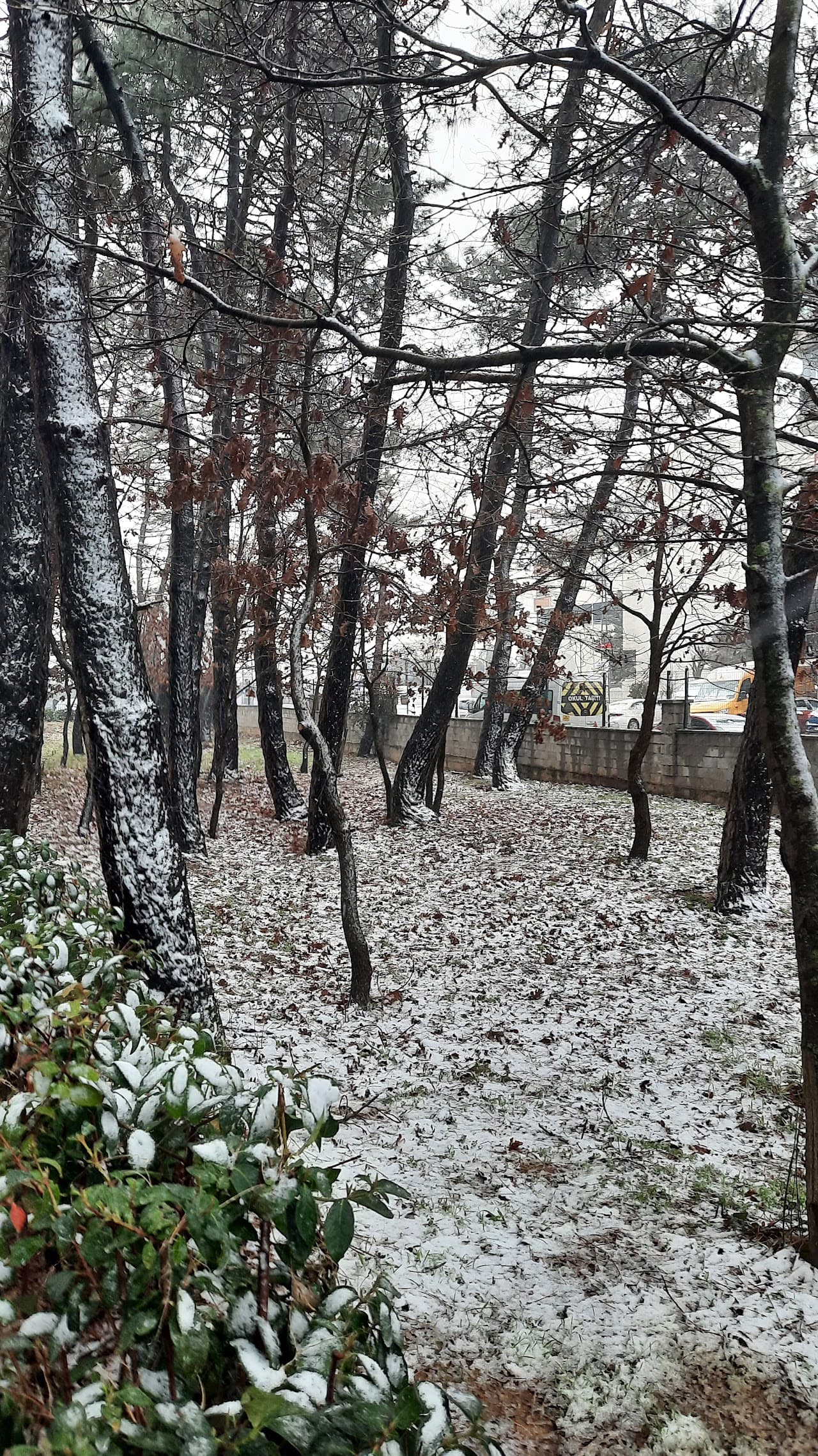 Av. Sıddık Eraslan Sosyal ve Spor Tesisi 2