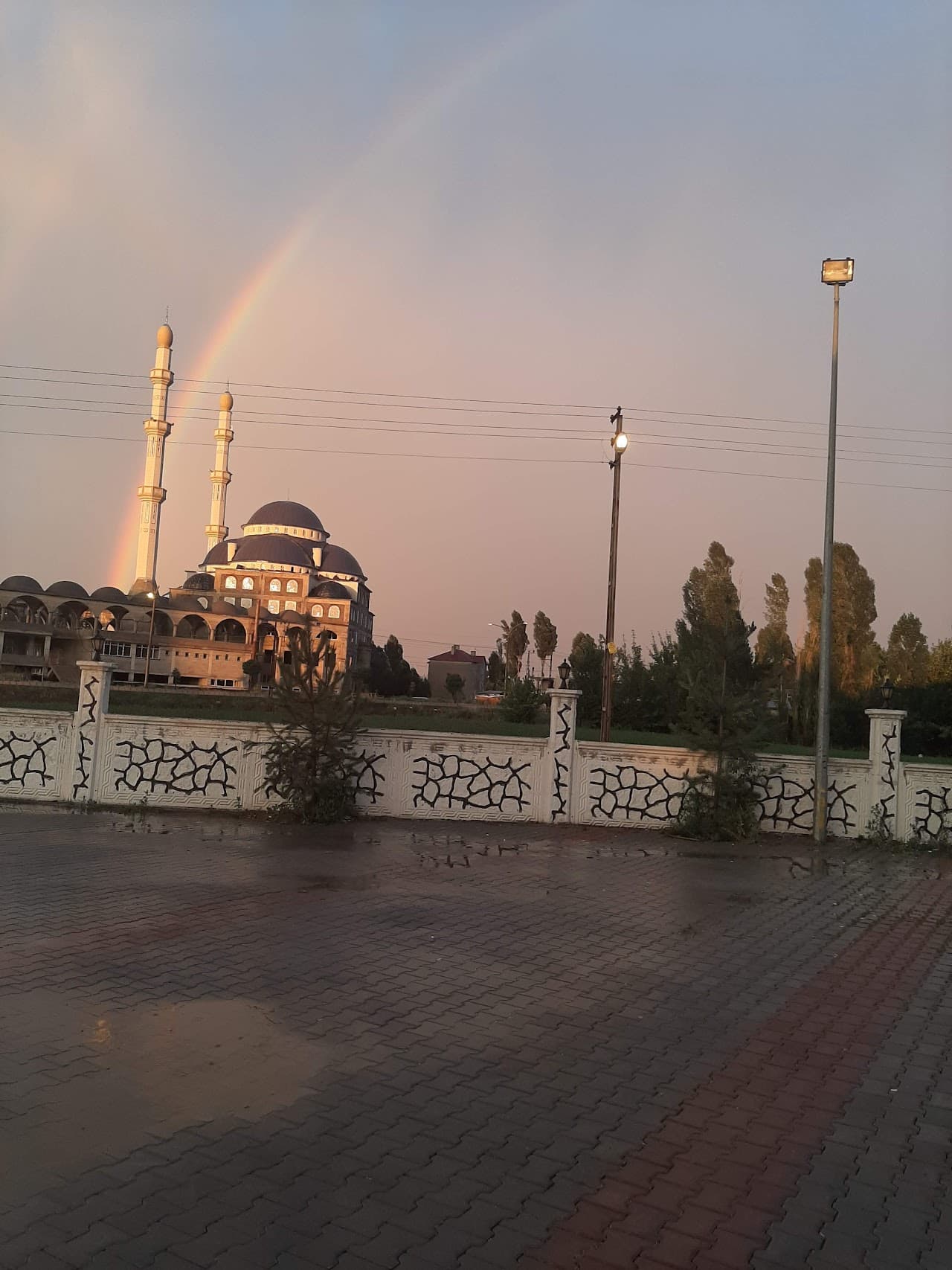 Halı Saha