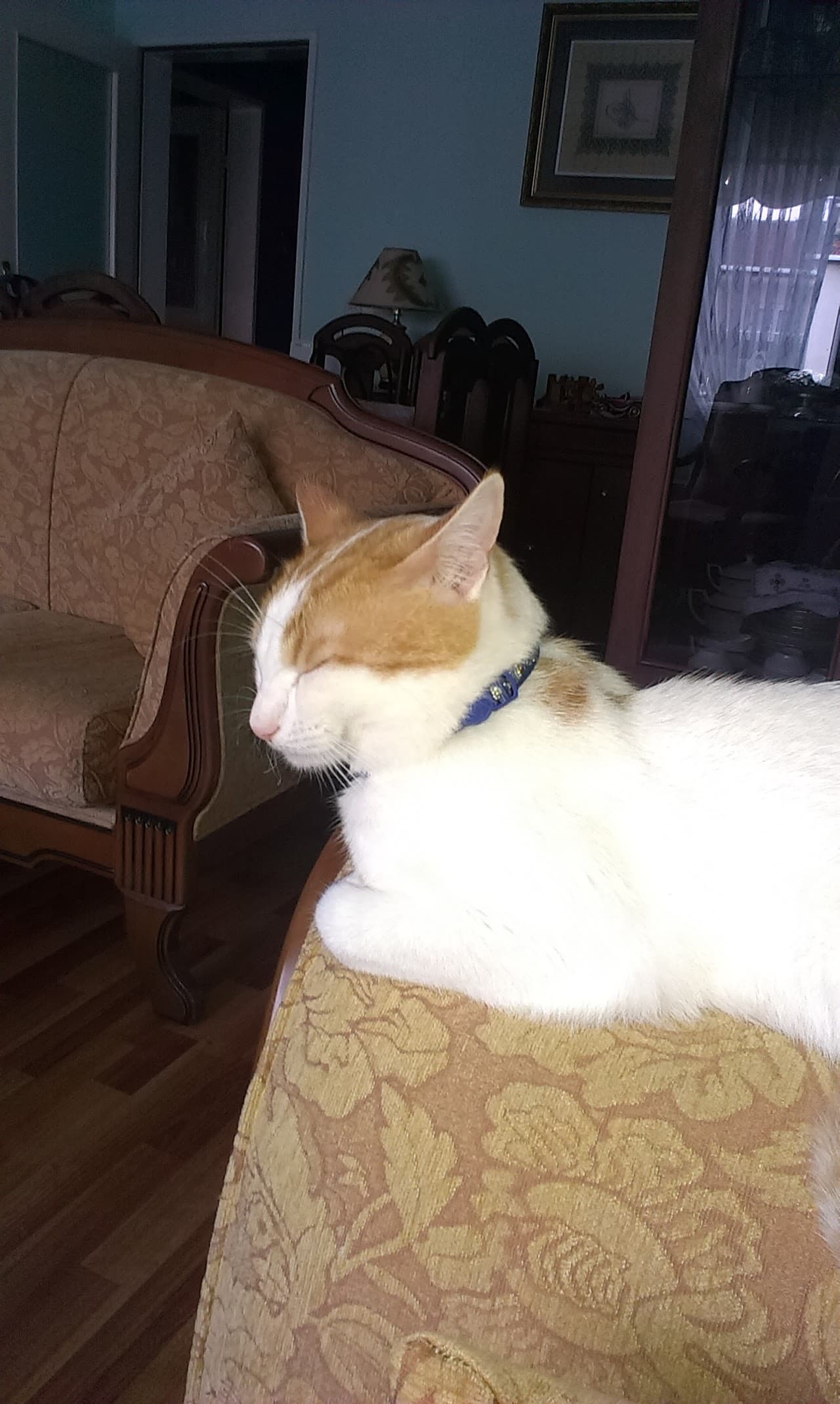 Halı Saha (2) 5