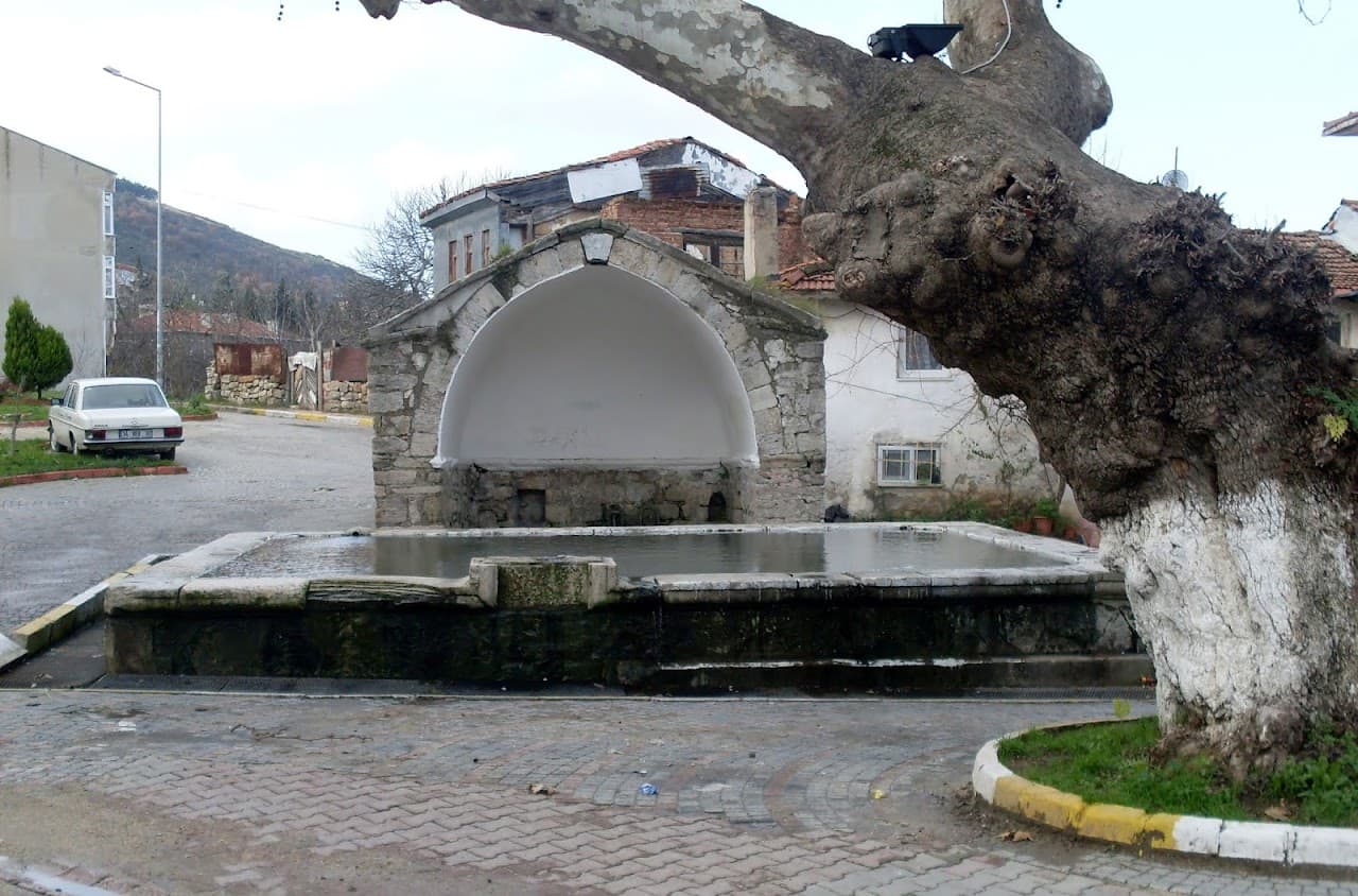 Çatalca Merkez 4