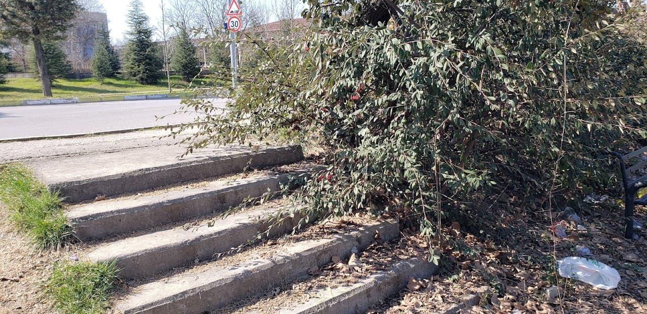 Halı Saha (7) 2