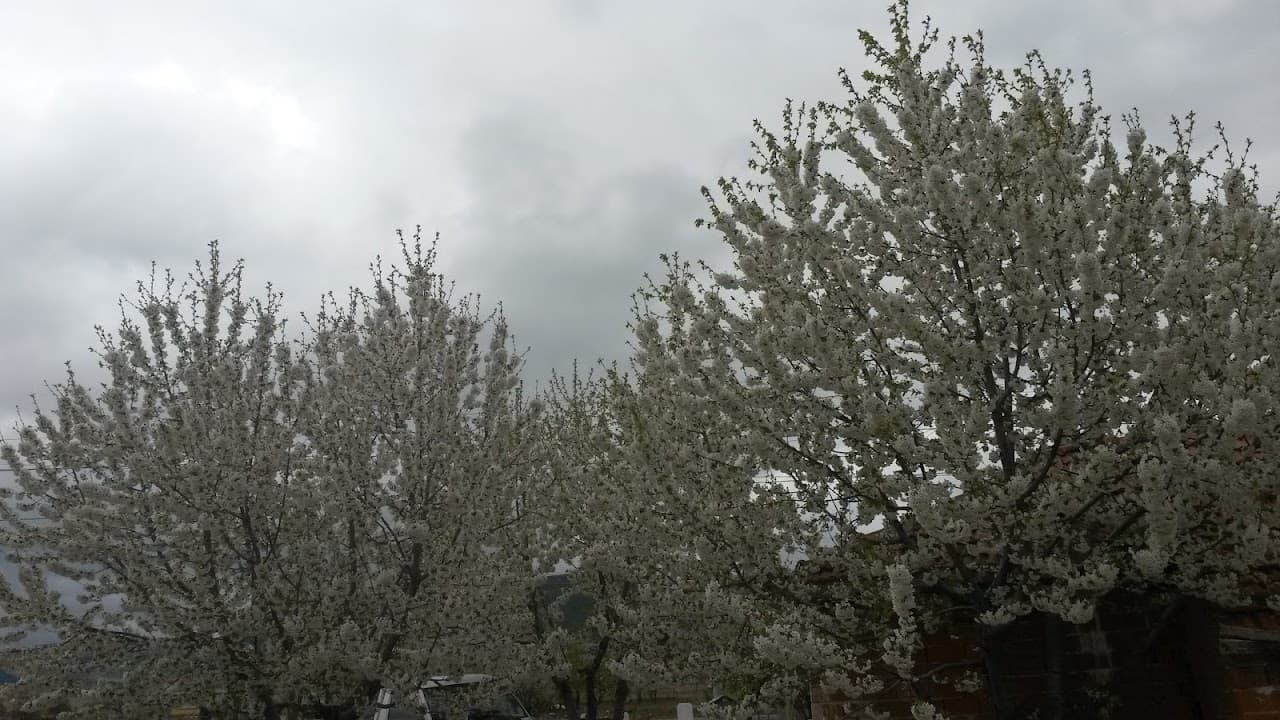 Pınar Halı Saha 2