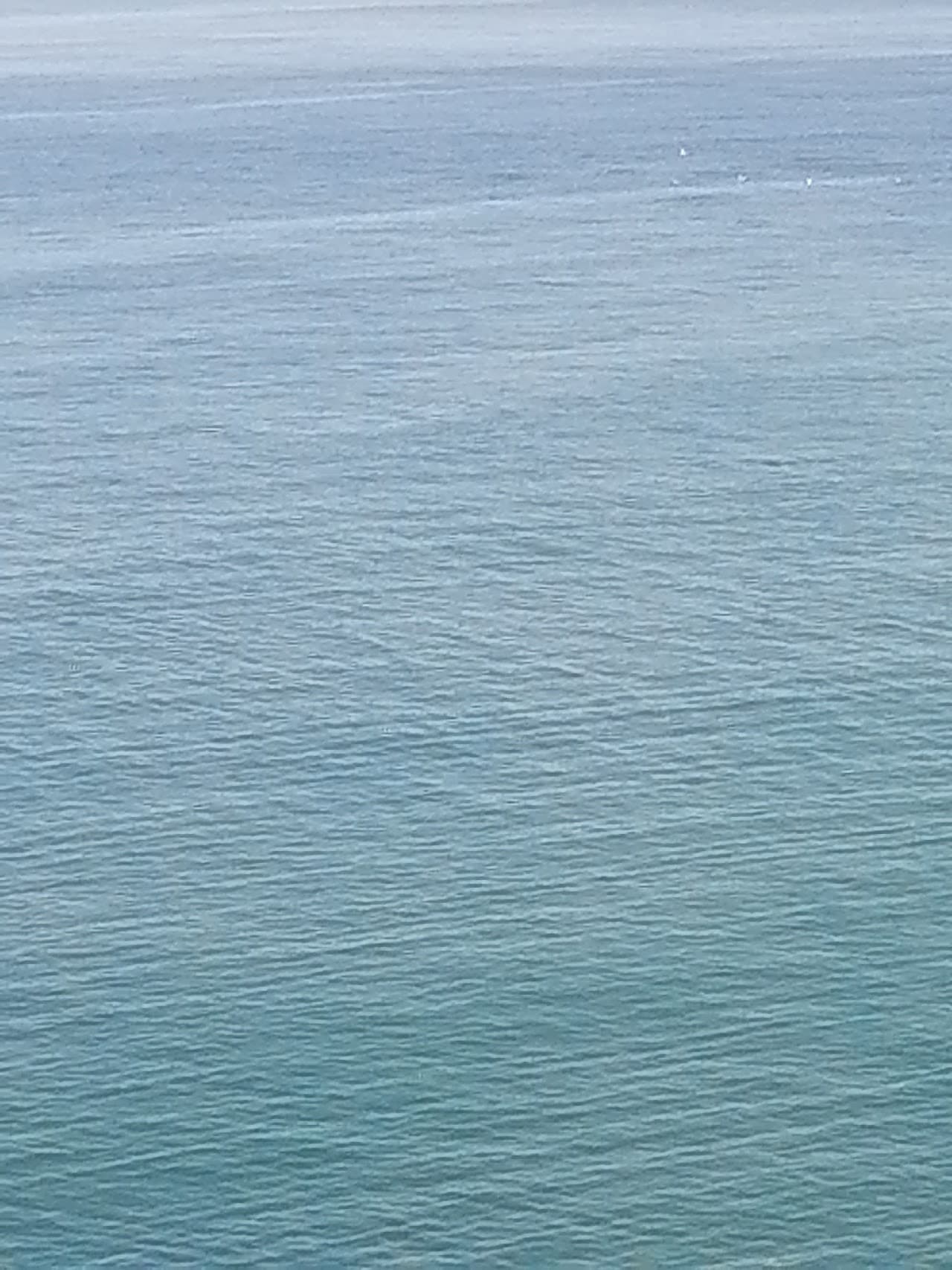 Halı Saha (2) 3