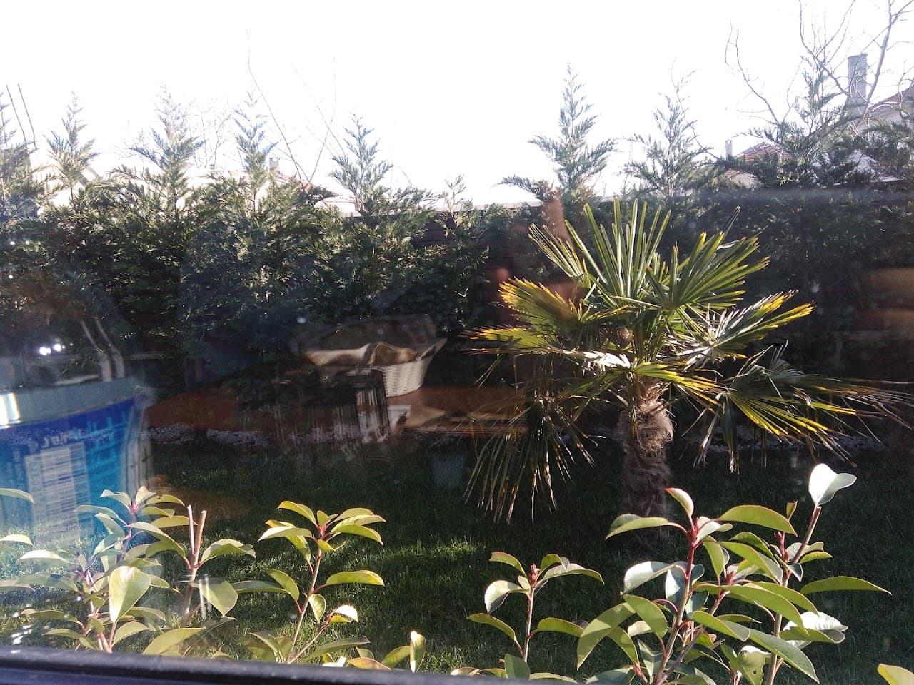 Atabey Spor Kompleksi 2