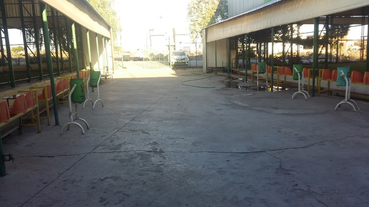 Feribot Halı Saha 2