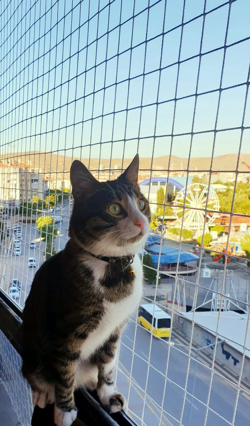Aksaray File, Kedi filesi, Balkon filesi, Çocuk filesi, Kuş filesi İnşaat ve Halı Saha Fileleri