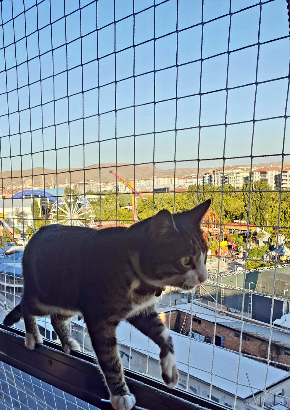 Aksaray File, Kedi filesi, Balkon filesi, Çocuk filesi, Kuş filesi İnşaat ve Halı Saha Fileleri 5