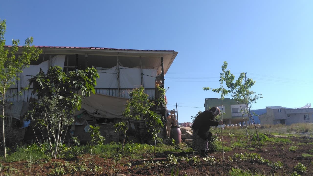 Halı Saha (2) 5
