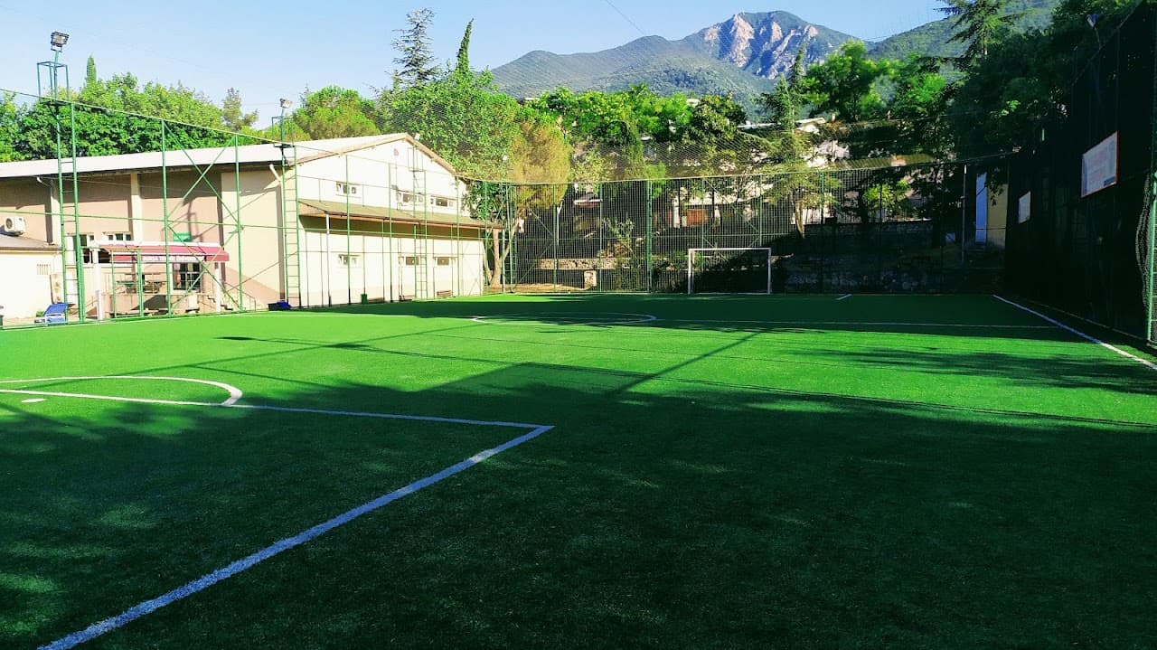 BTÜ HALI SAHA