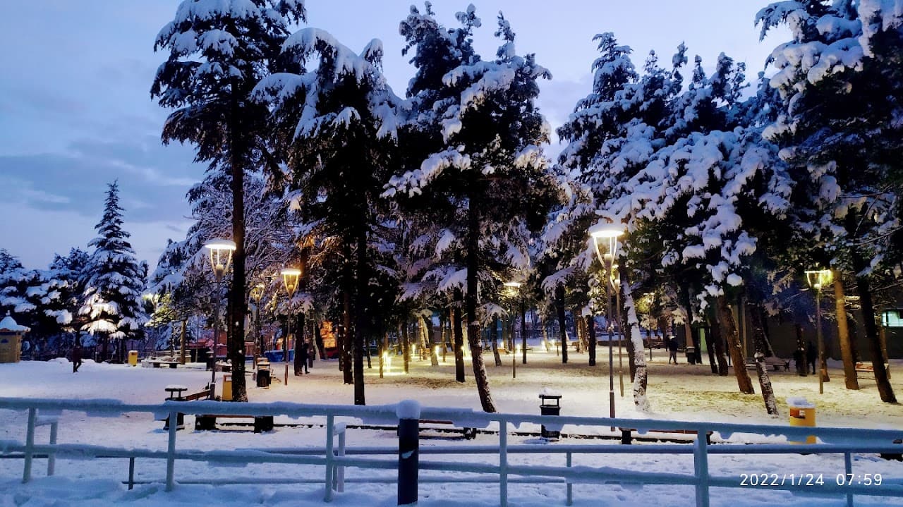 BTÜ HALI SAHA 5