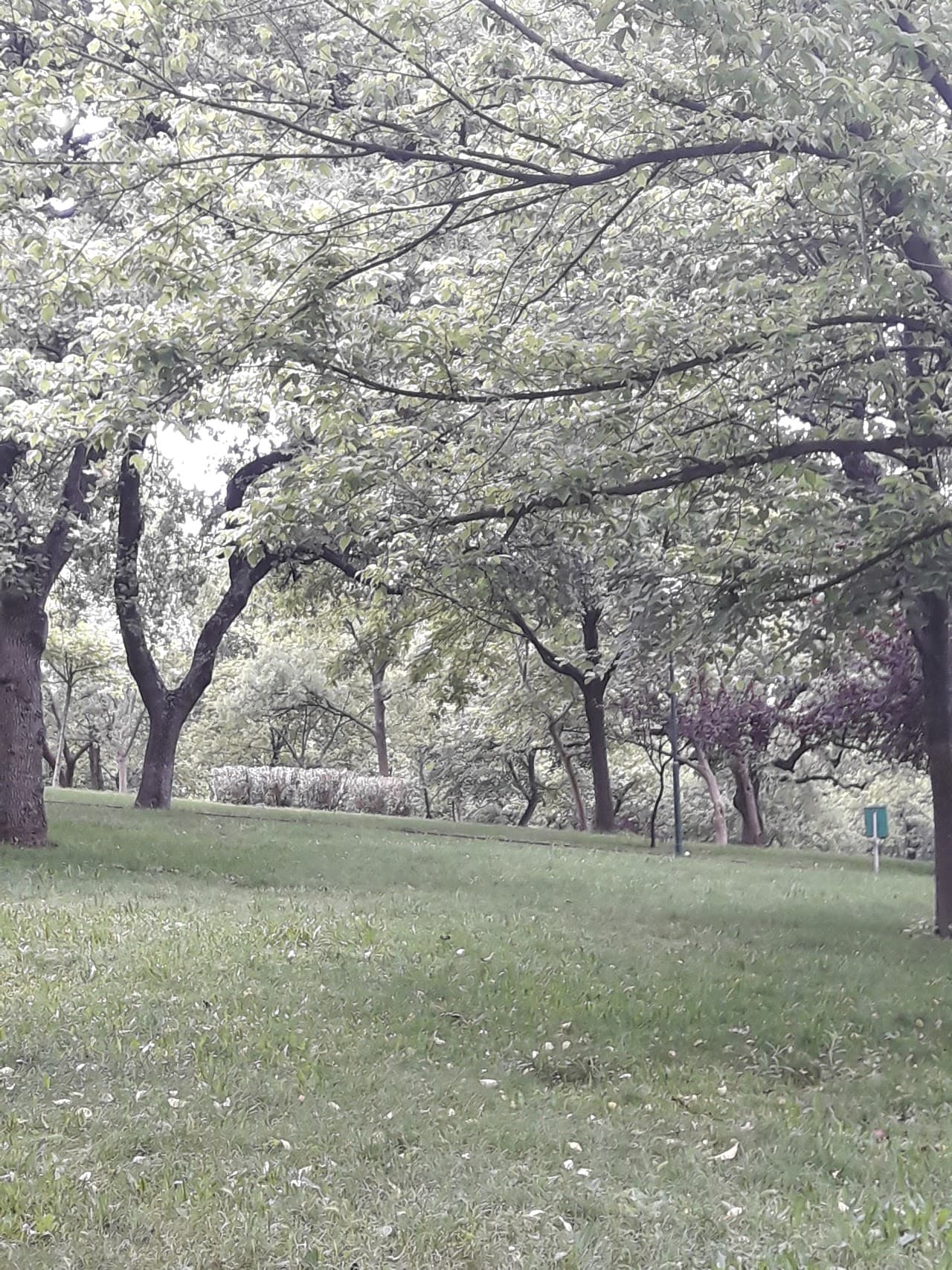 Bağlarbaşı Spor Kulübü Halı Sahası 4