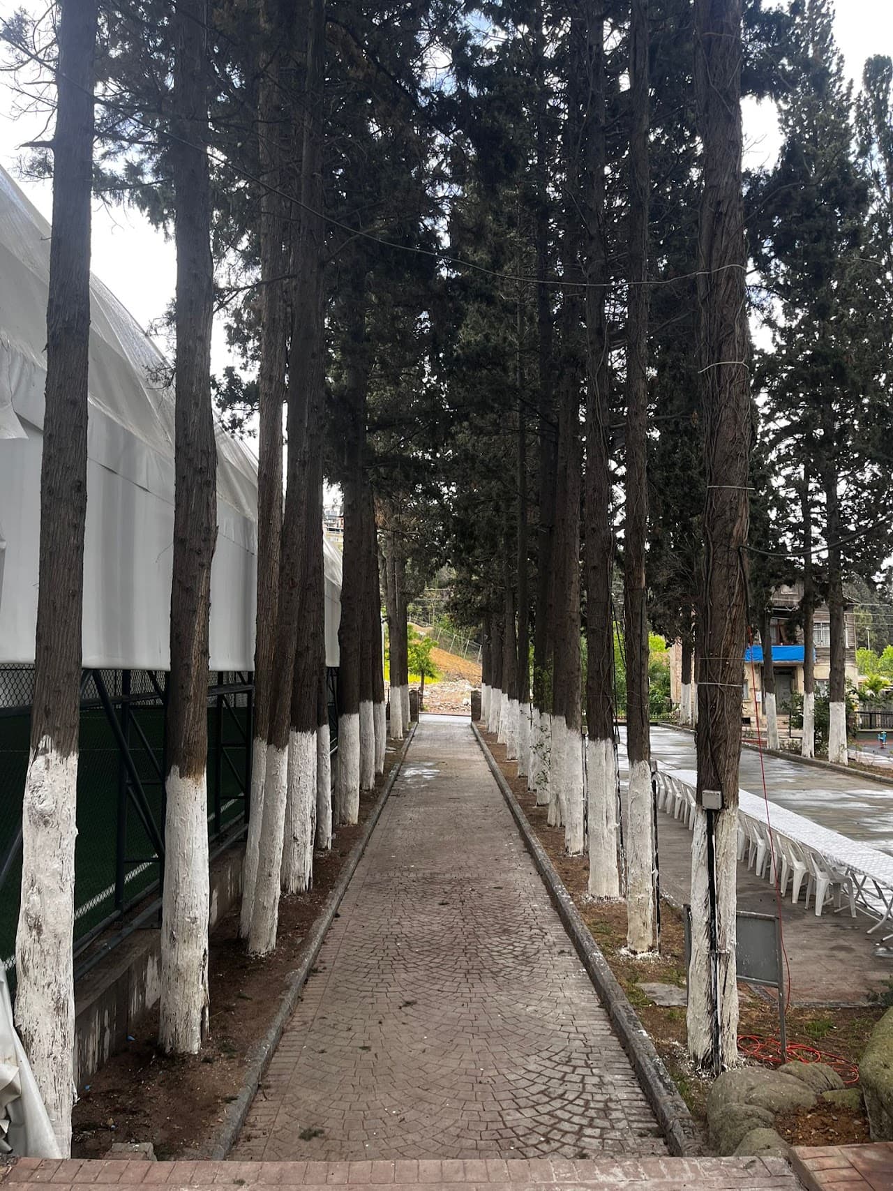 Çamlık Halı Saha & Organizasyon 3