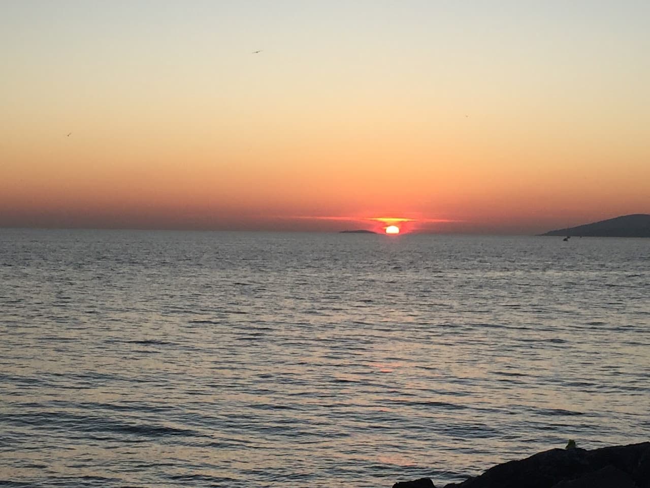 Hasbahçe 5