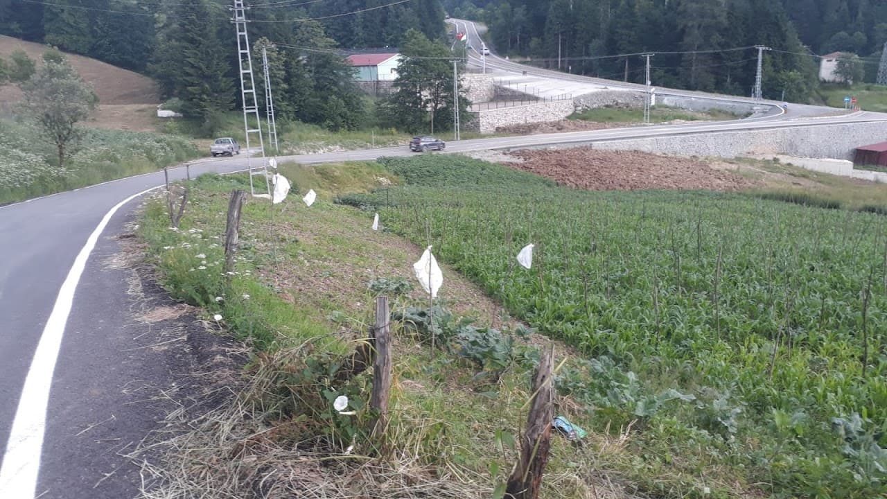 Çayırbağı Halı Sahası 5
