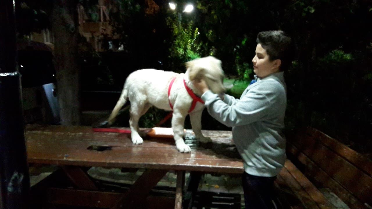 Halı Saha (3) 4