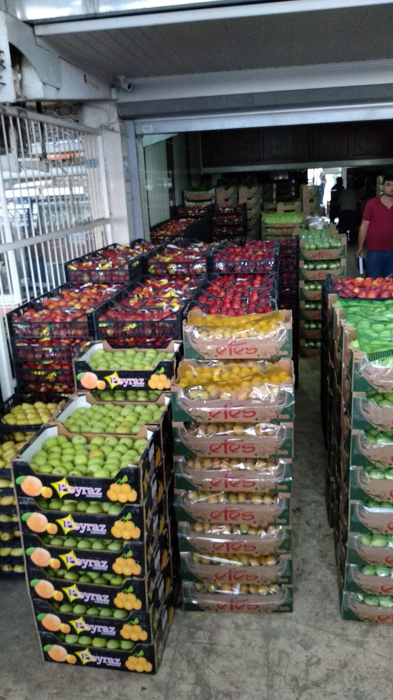 Tarsus Hali 4