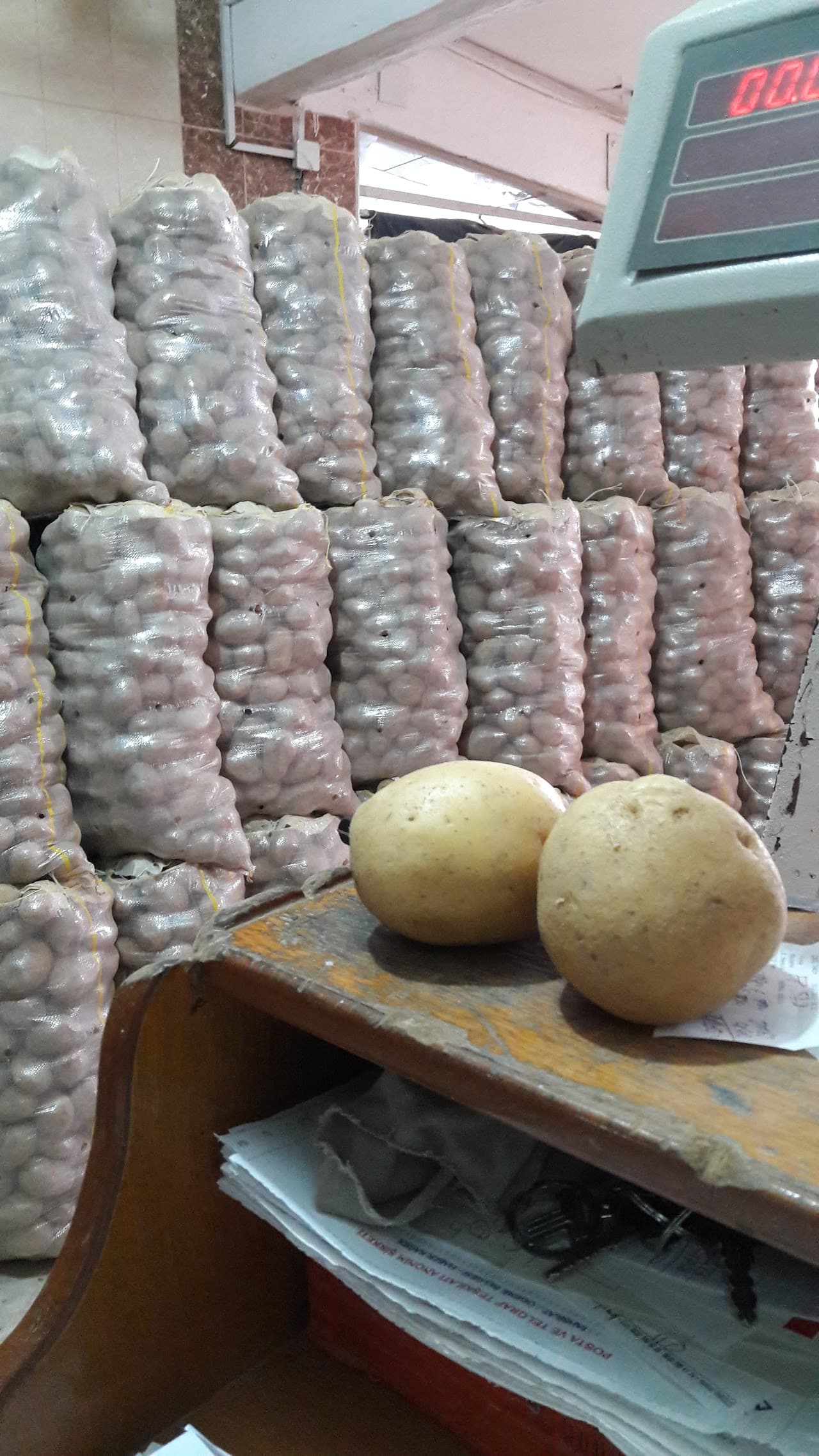 Tarsus Hali 5