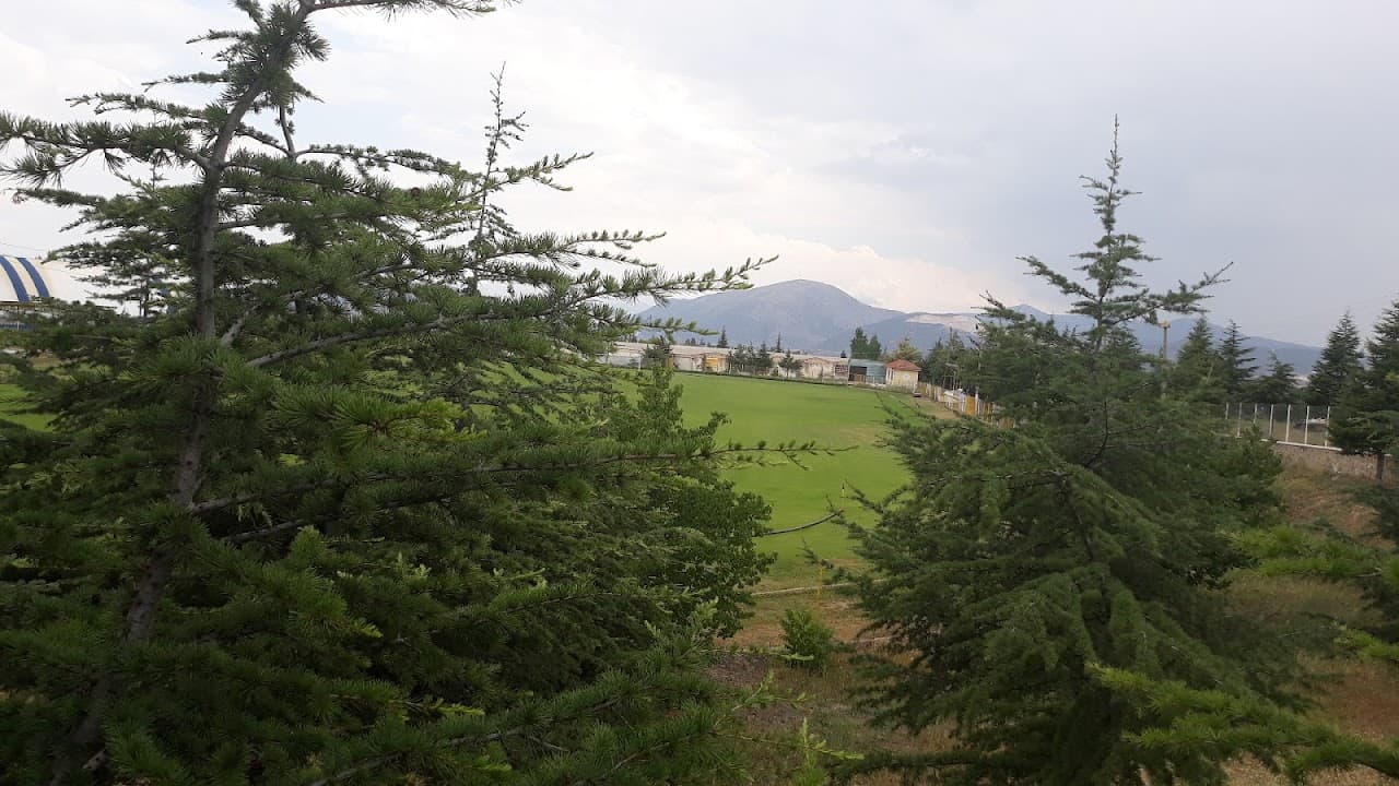 Gönen Stadyum 5