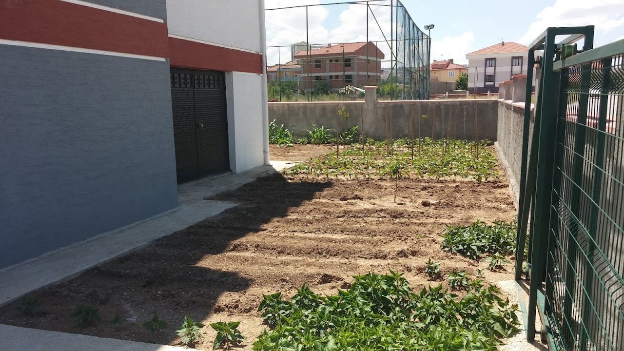 Halı Saha (2) 4