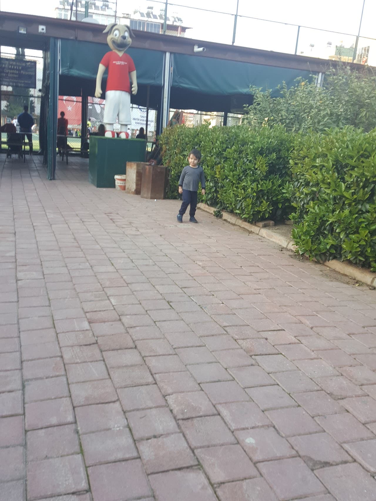 Vali Aladdin Yüksel Spor Kompleksi 5