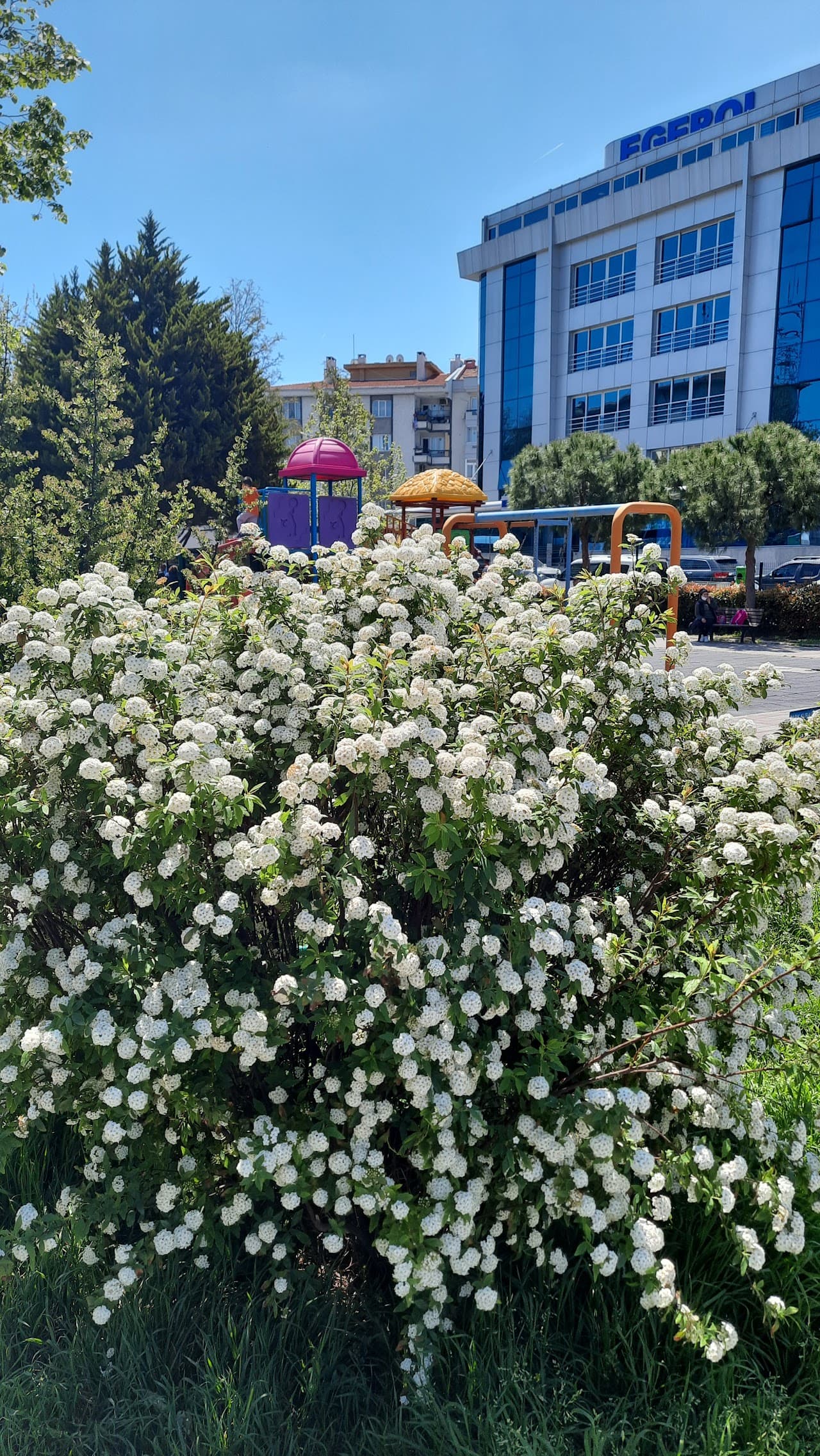 Atilla Spor Parkı 3