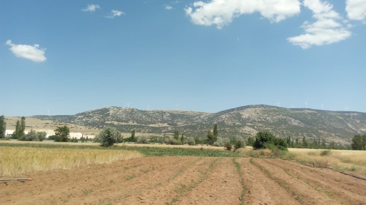 Halı Saha (4) 5