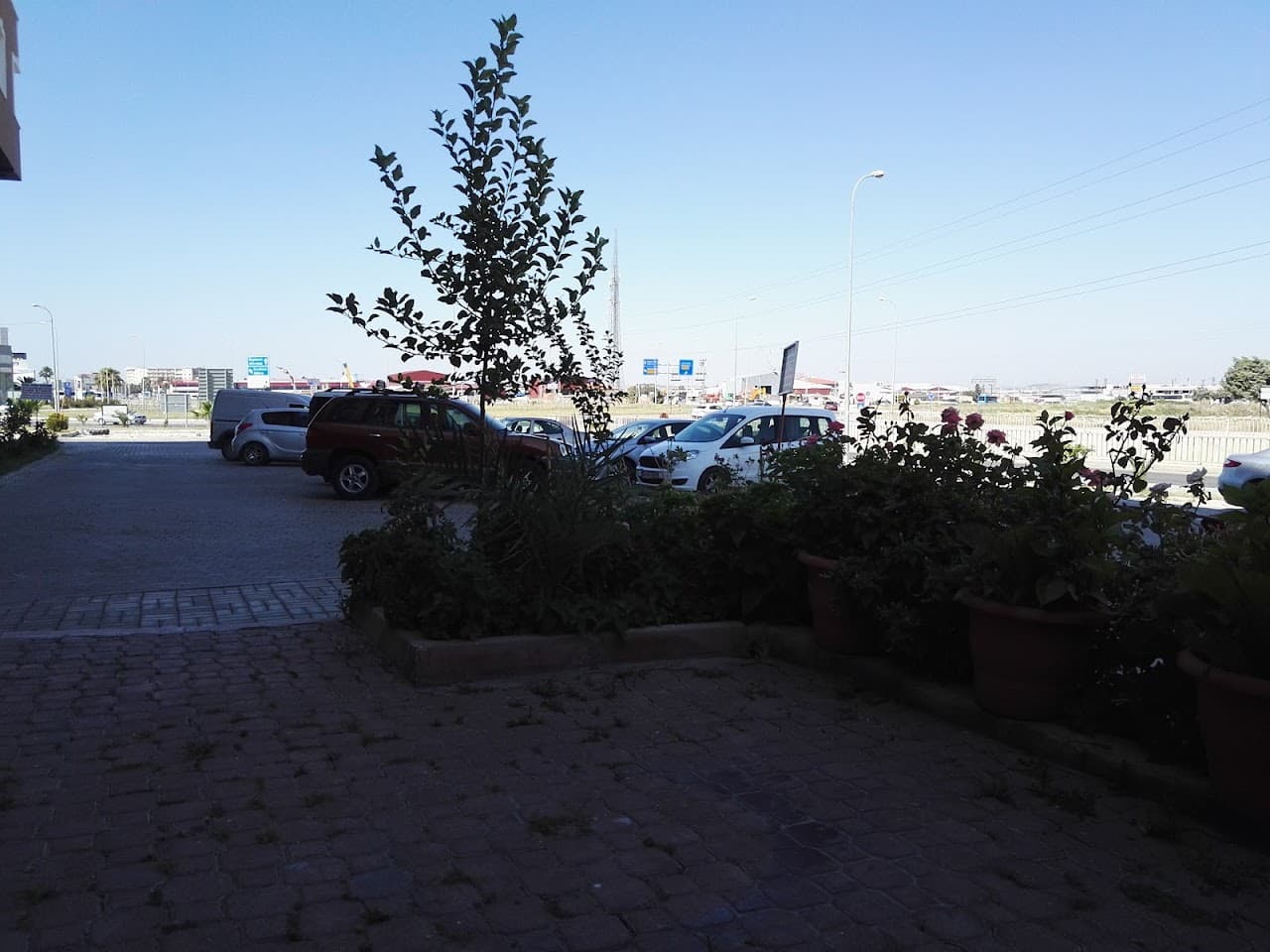 Performans Halı Saha 5