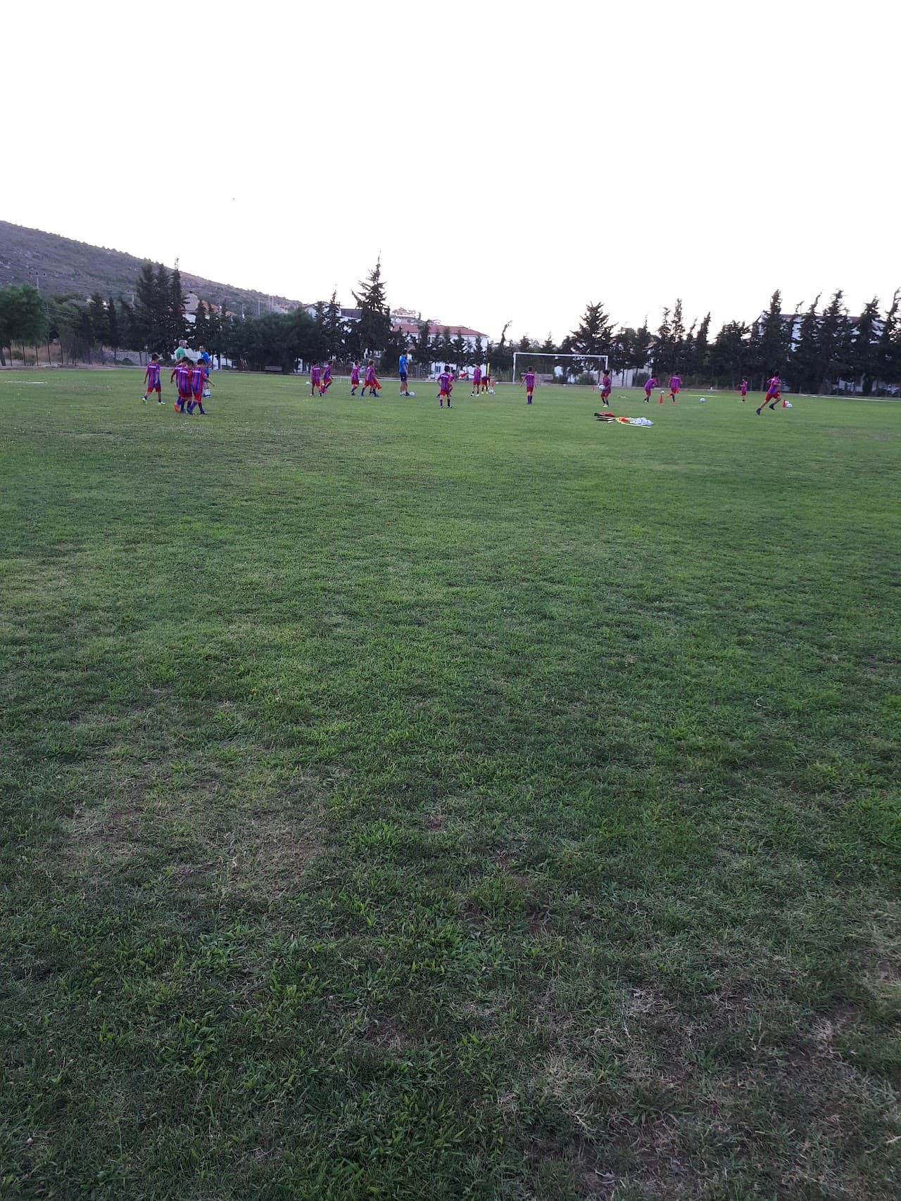 Çim Futbol Sahası 5