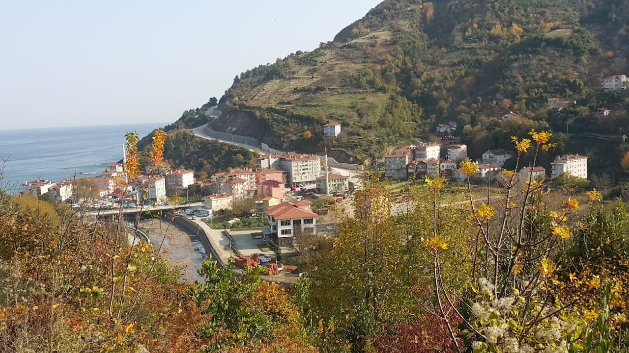 Doğanyurt Belediyesi